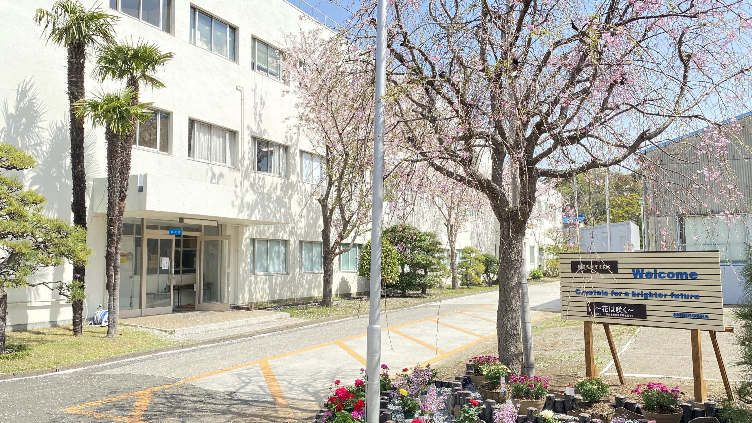 株式会社信光社